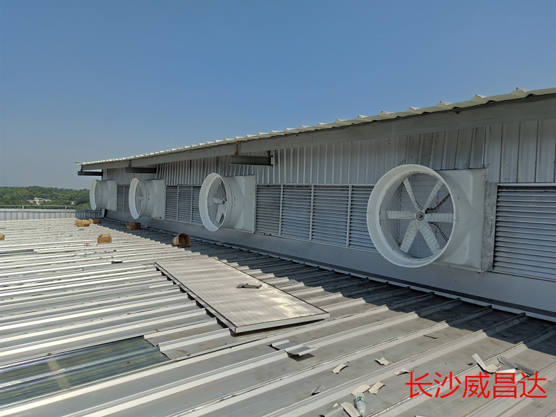高效經(jīng)濟降溫的廠房車間降溫水簾風(fēng)機系統(tǒng)